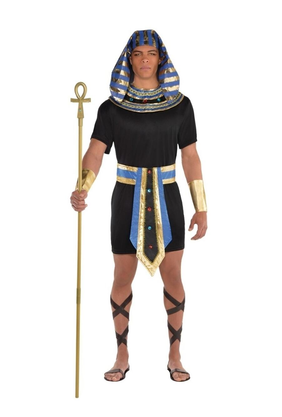 Amscan Egyptian Pharaoh Halloween Costume, Adult Standard Size Fits Most